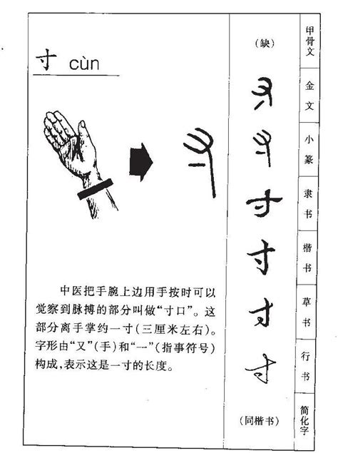 尺 字|尺的字源字形